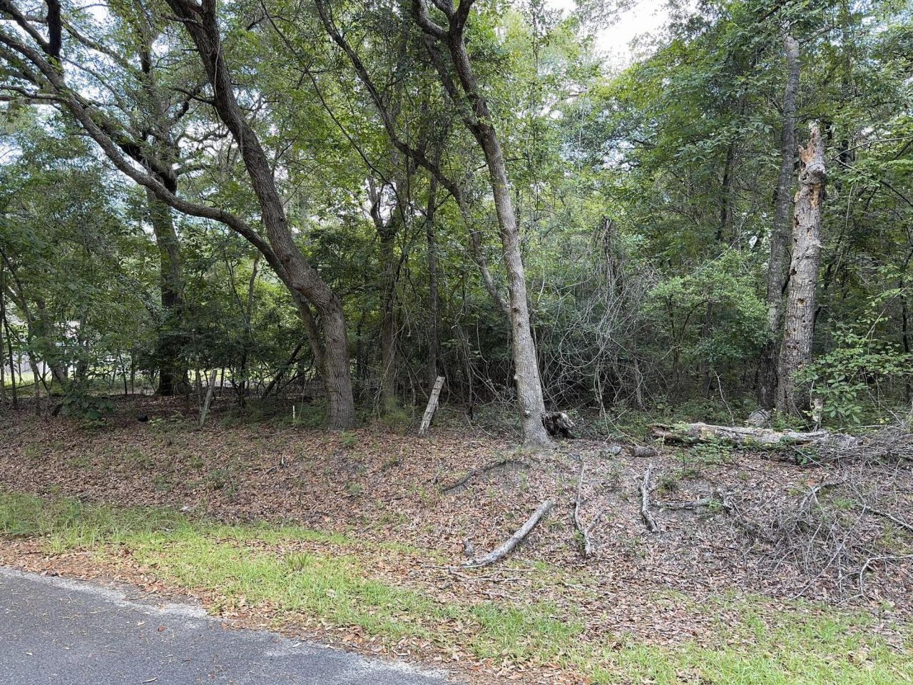 485 Corner Lake Road Photo 4