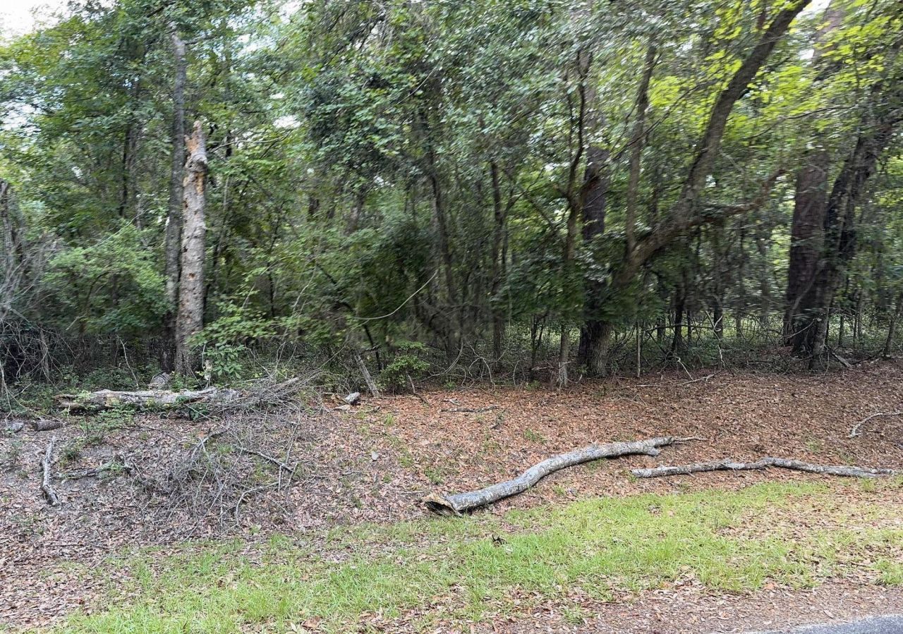 485 Corner Lake Road Photo 5