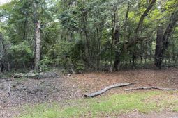 485 Corner Lake Road photo 4