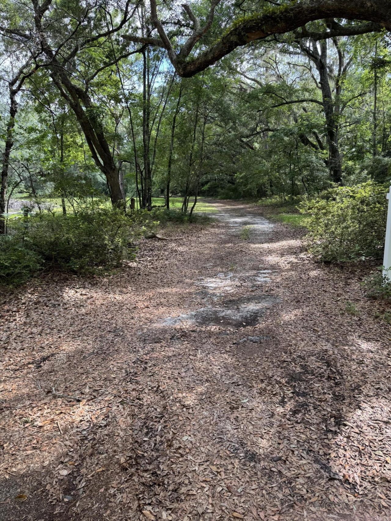 485 Corner Lake Road Photo 6