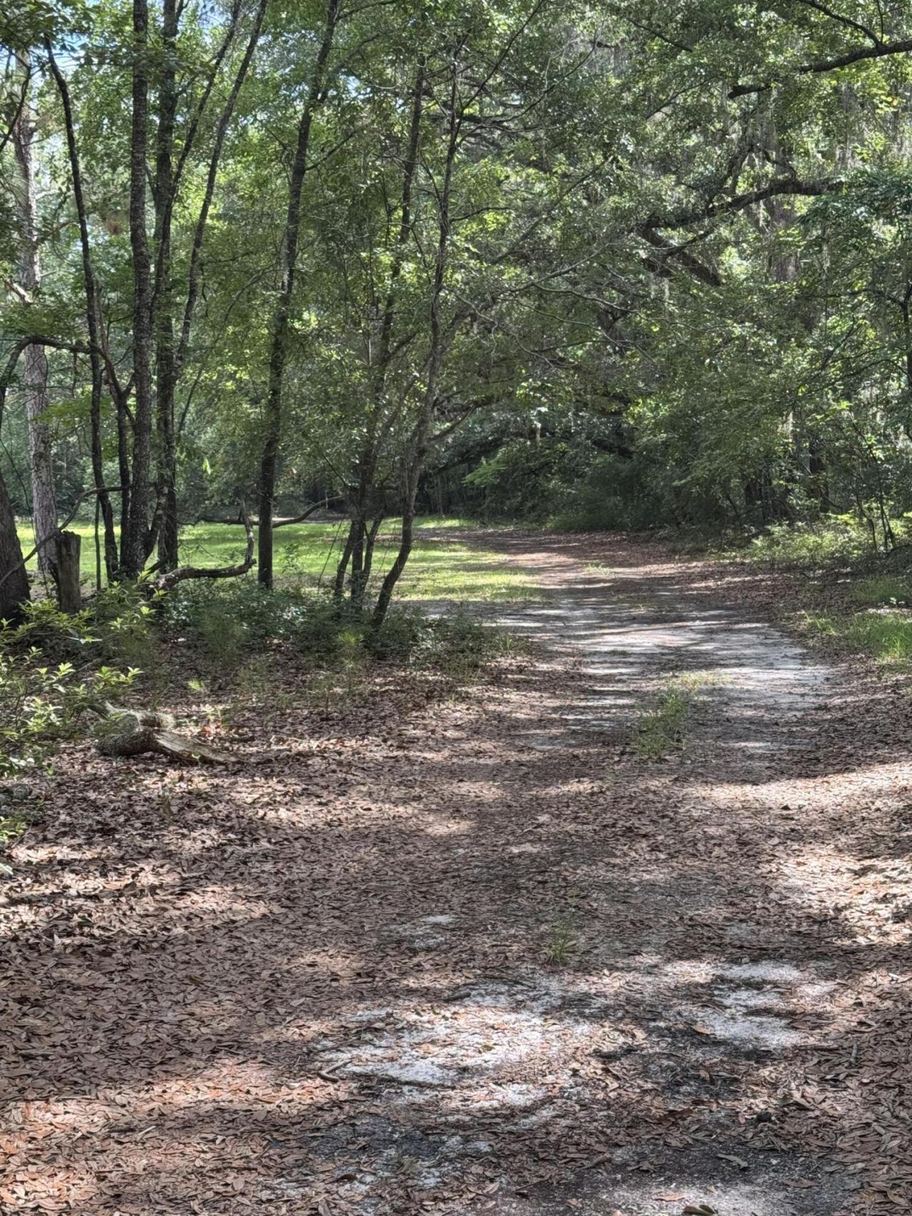 485 Corner Lake Road Photo 7