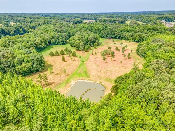 1225 Fields Dr, Arlington, TN 38002