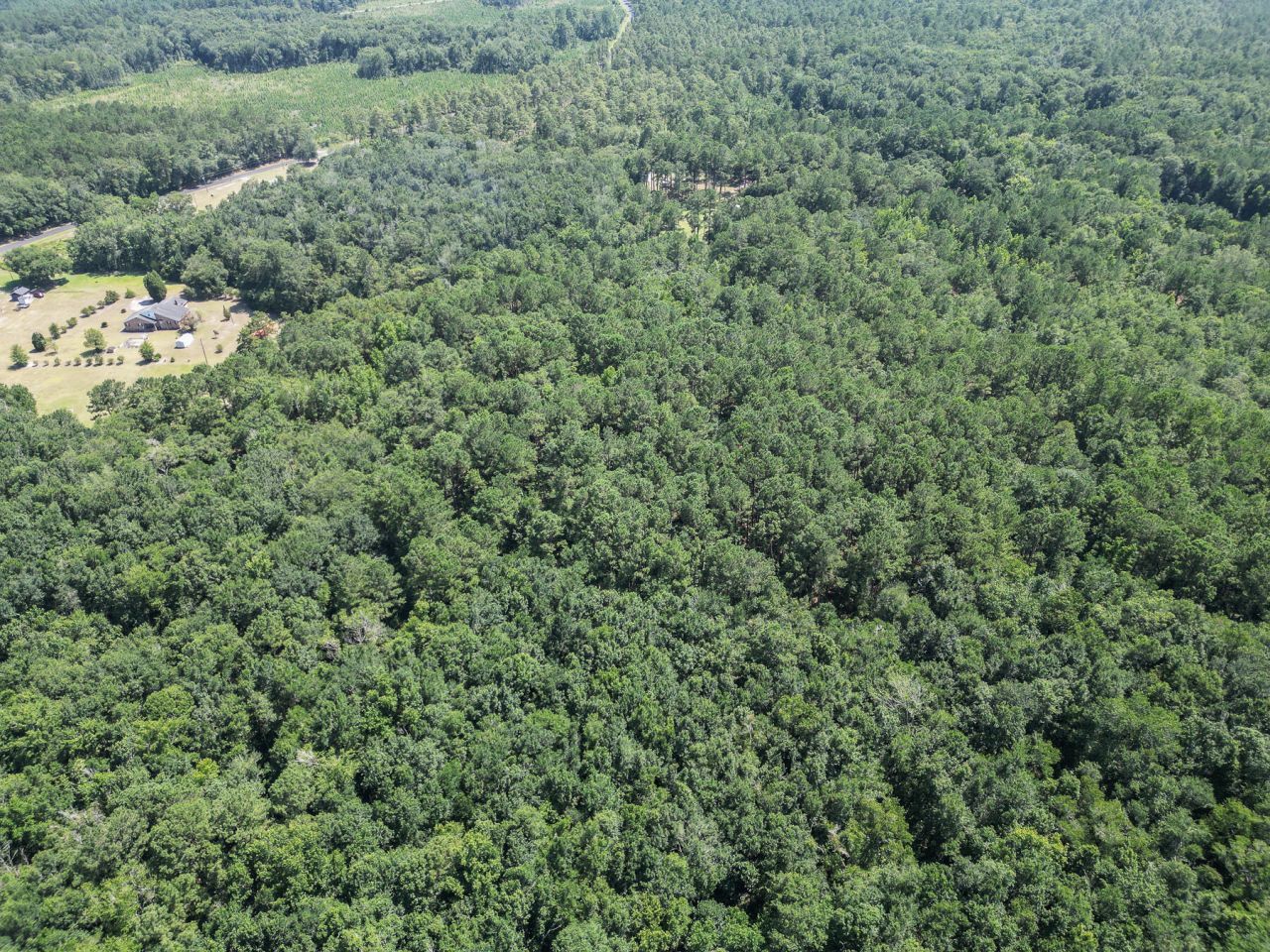 153 Willow Brook Way Photo 106