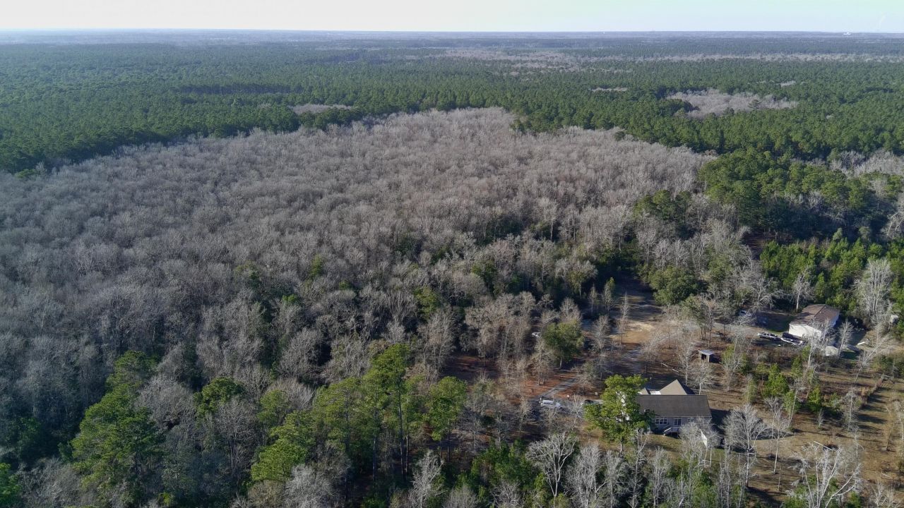 153 Willow Brook Way Photo 109