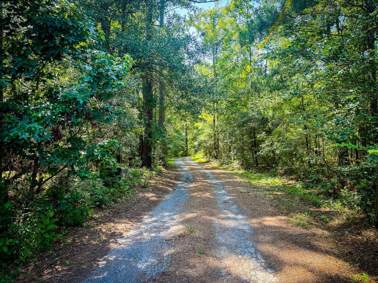 153 Willow Brook Way Photo 6