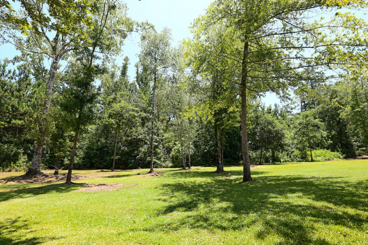 153 Willow Brook Way Photo 90