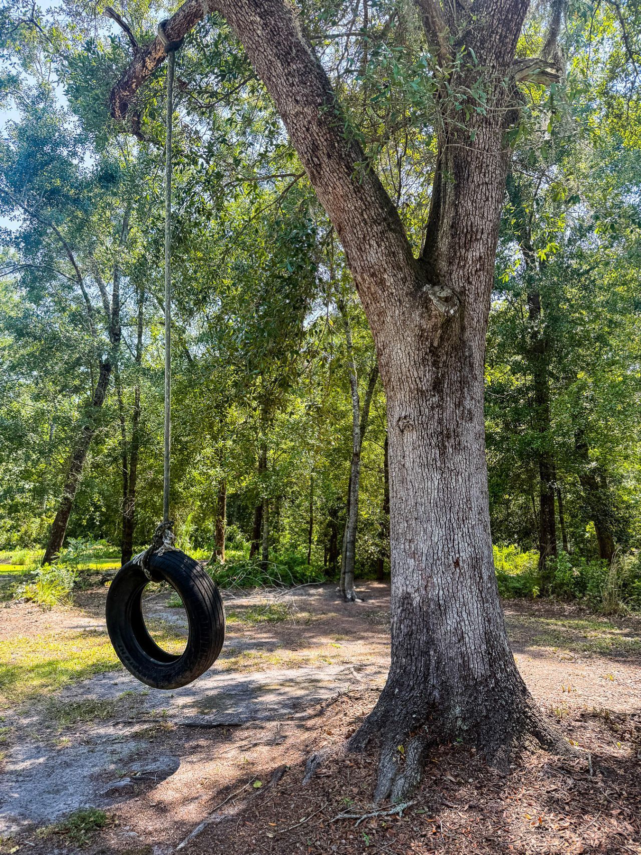 153 Willow Brook Way Photo 94