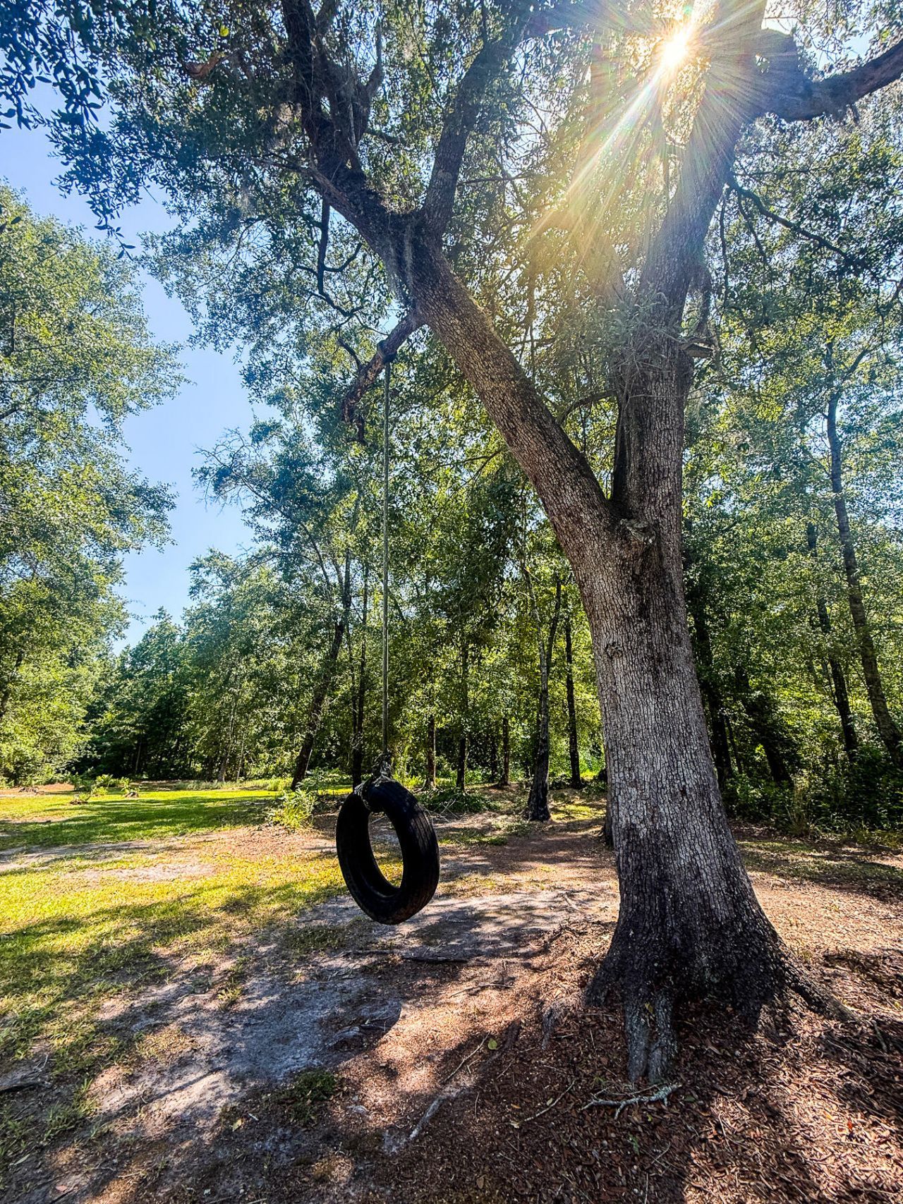 153 Willow Brook Way Photo 95