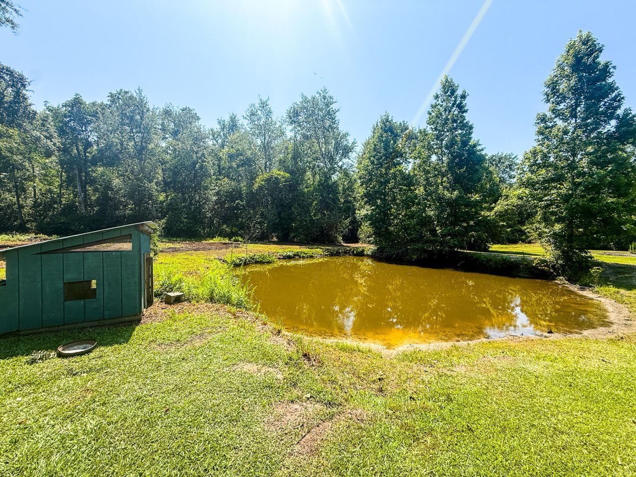 153 Willow Brook Way Photo 98