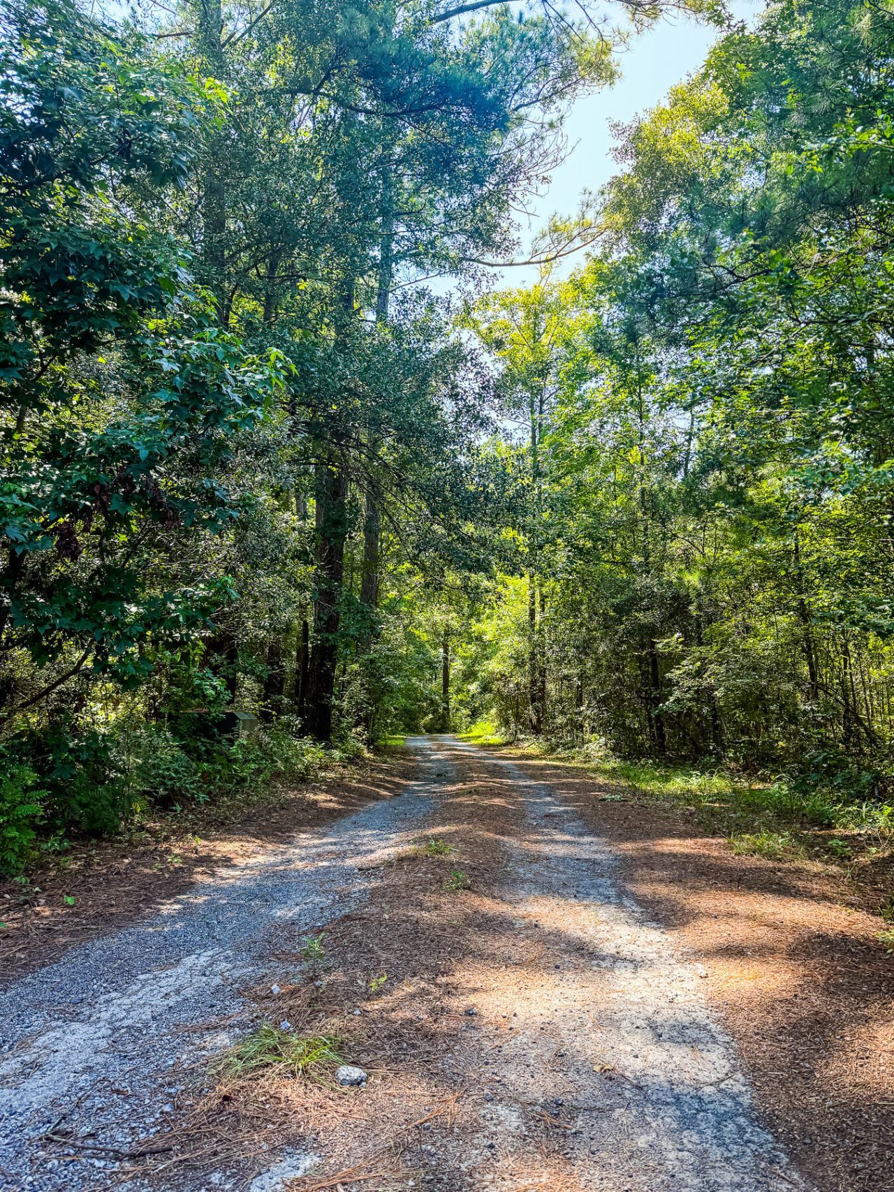 153 Willow Brook Way Photo 99