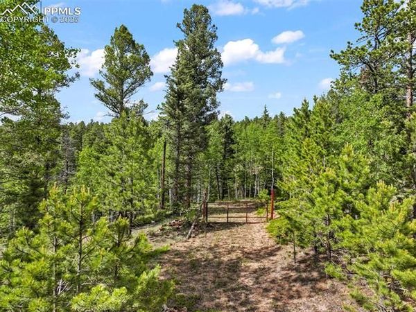 65 Spruce Creek Road, Divide, CO 80814