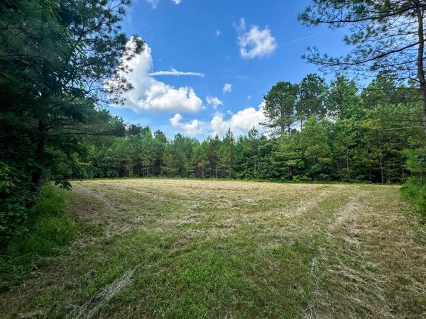 0 Guys Chewalla Rd, Ramer, TN 38367