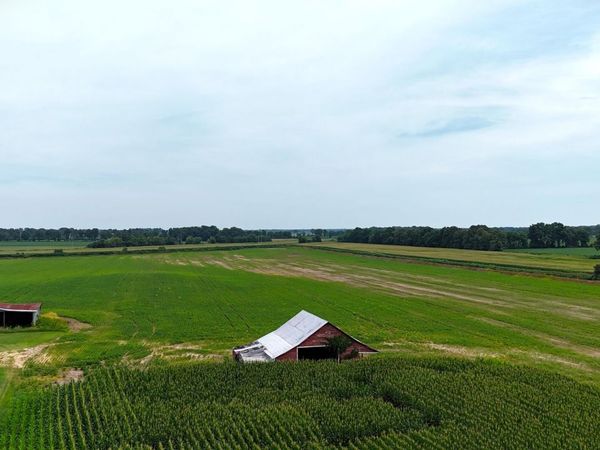 0 Pete Tinsley Road, Alamo, TN 38001