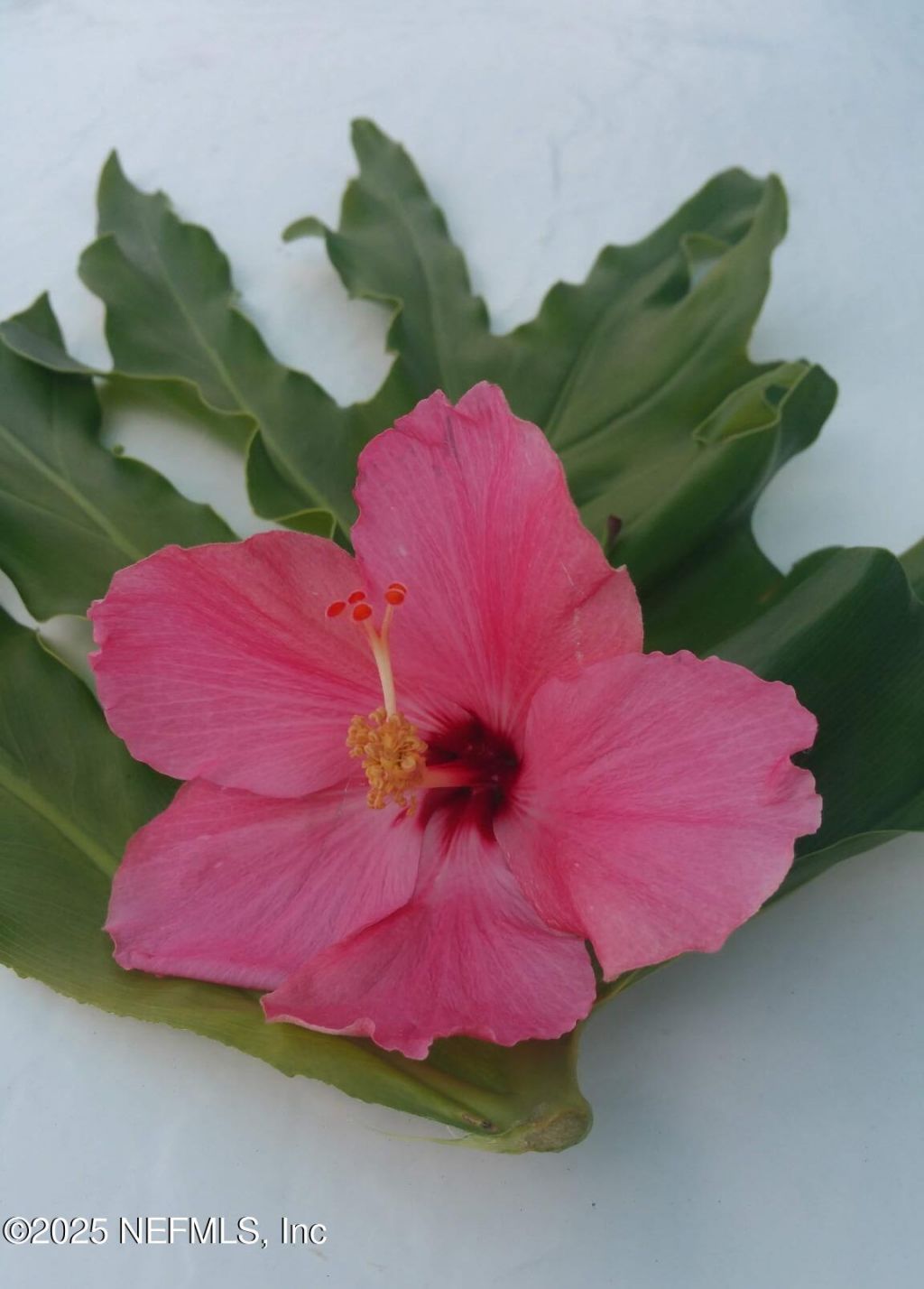 222 River Bend Place, Unit BLDG C, Welaka, FL 32193 Photo