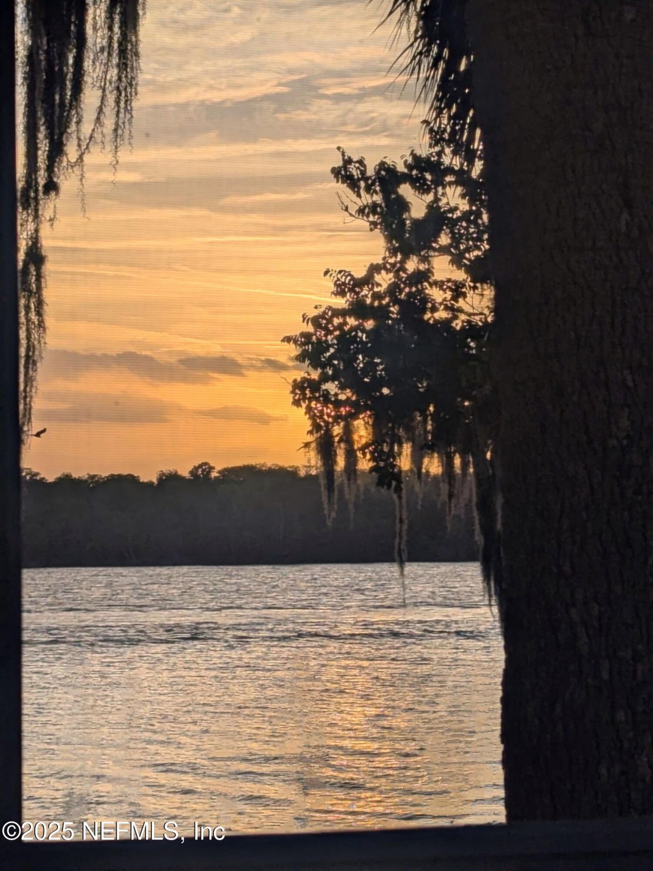 222 River Bend Place, Unit BLDG C, Welaka, FL 32193 Photo