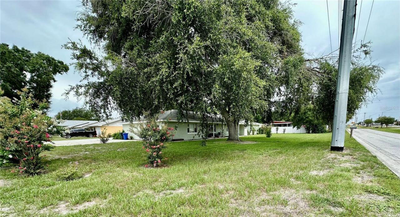 585 S Buena Vista Drive, Lake Alfred, FL 33850 Photo