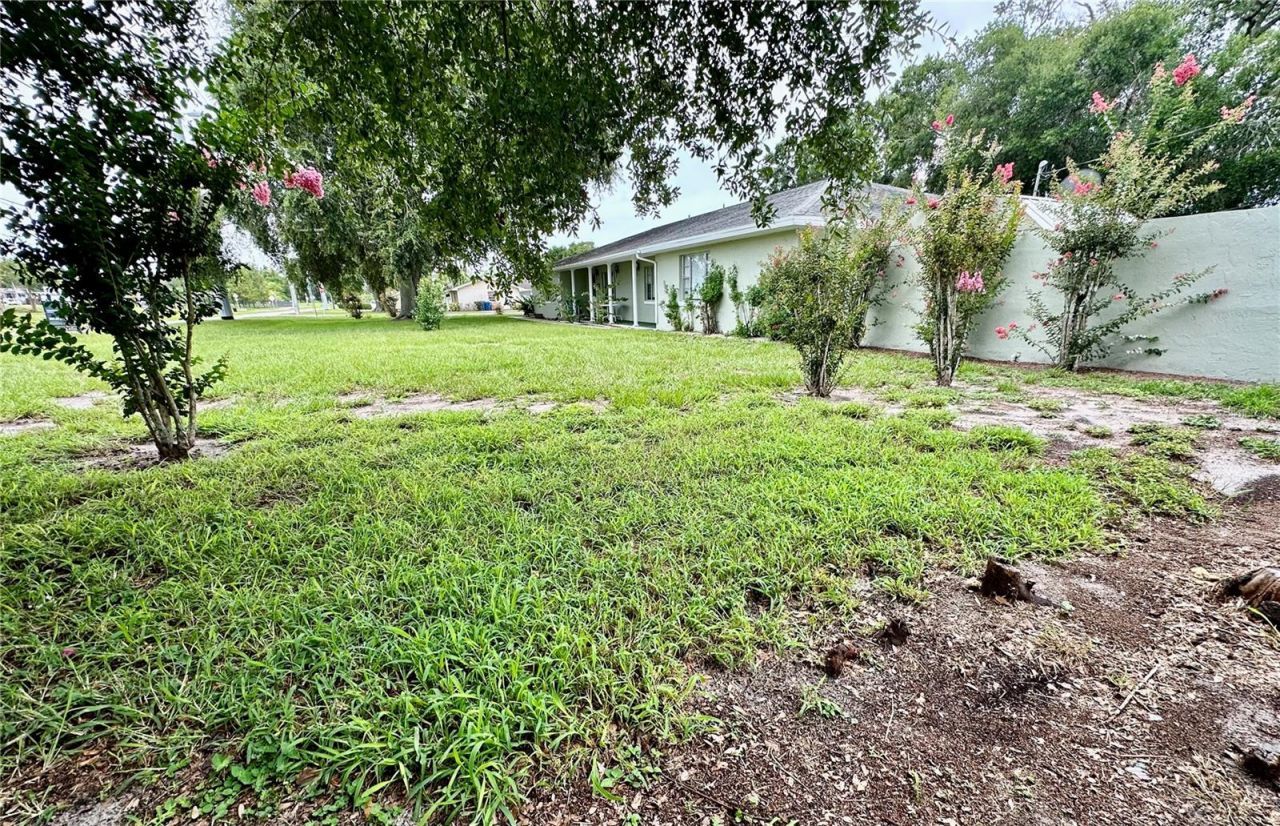 585 S Buena Vista Drive, Lake Alfred, FL 33850 Photo