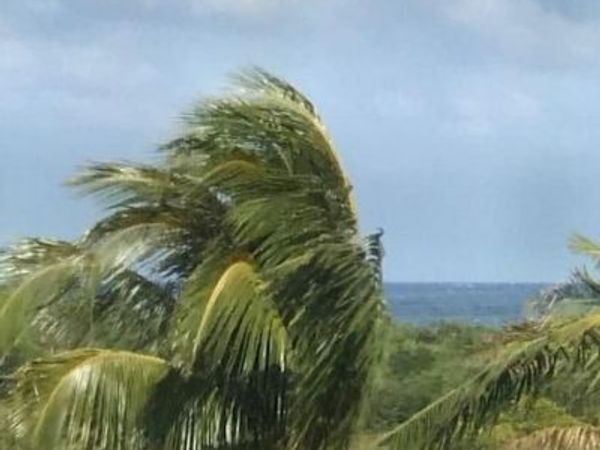 275 Palm Avenue, Unit C503, Jupiter, FL 33477