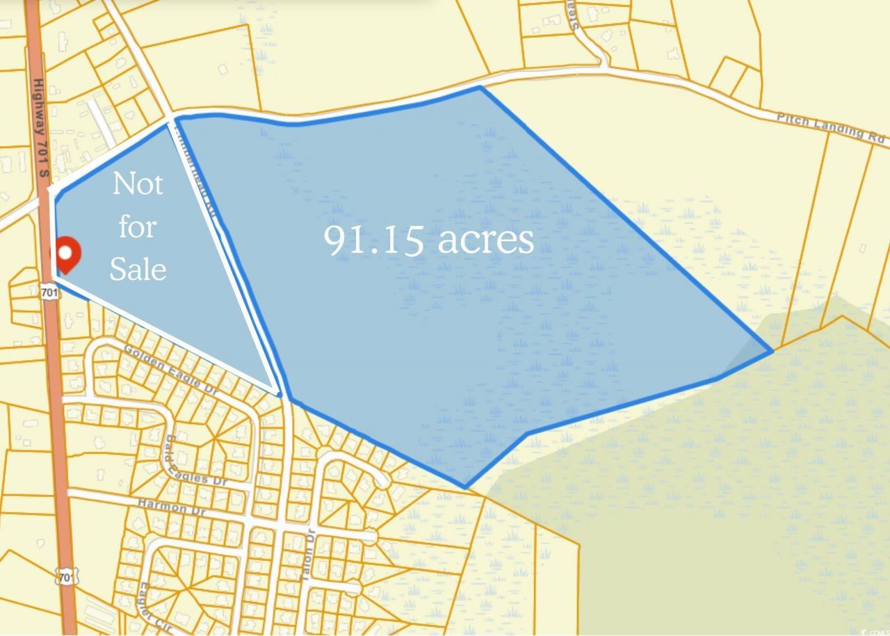 Tbd Pitch Landing Rd. Photo 2