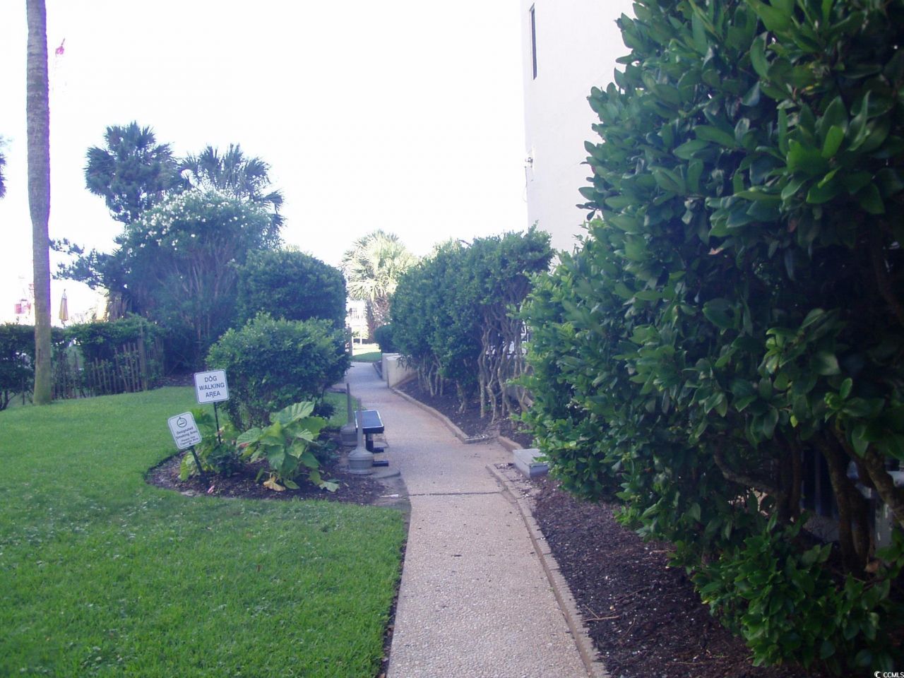 2310 North Ocean Blvd. Photo 5