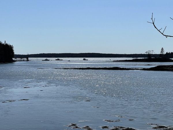 Lot 15-5 Fort Williams Road, Harrington, ME 04643