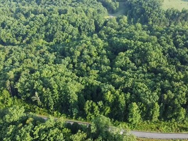 Lot 4 Woodland Creek Drive, Dandridge, TN 37725