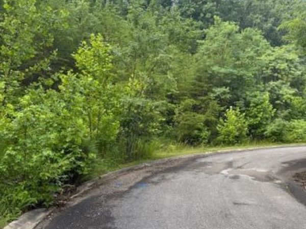 Lot 14 Woodland Creek Drive, Dandridge, TN 37725
