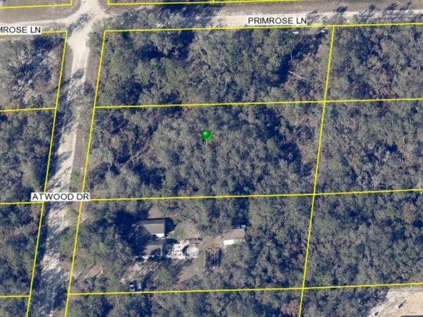 7464 ATWOOD DRIVE, WEBSTER, FL 33597