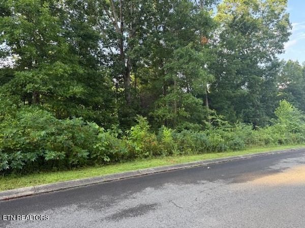 Lot 17 Woodland Creek Drive, Dandridge, TN 37725