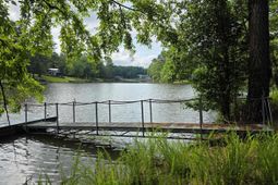 1672 Lakeshore Road photo 4