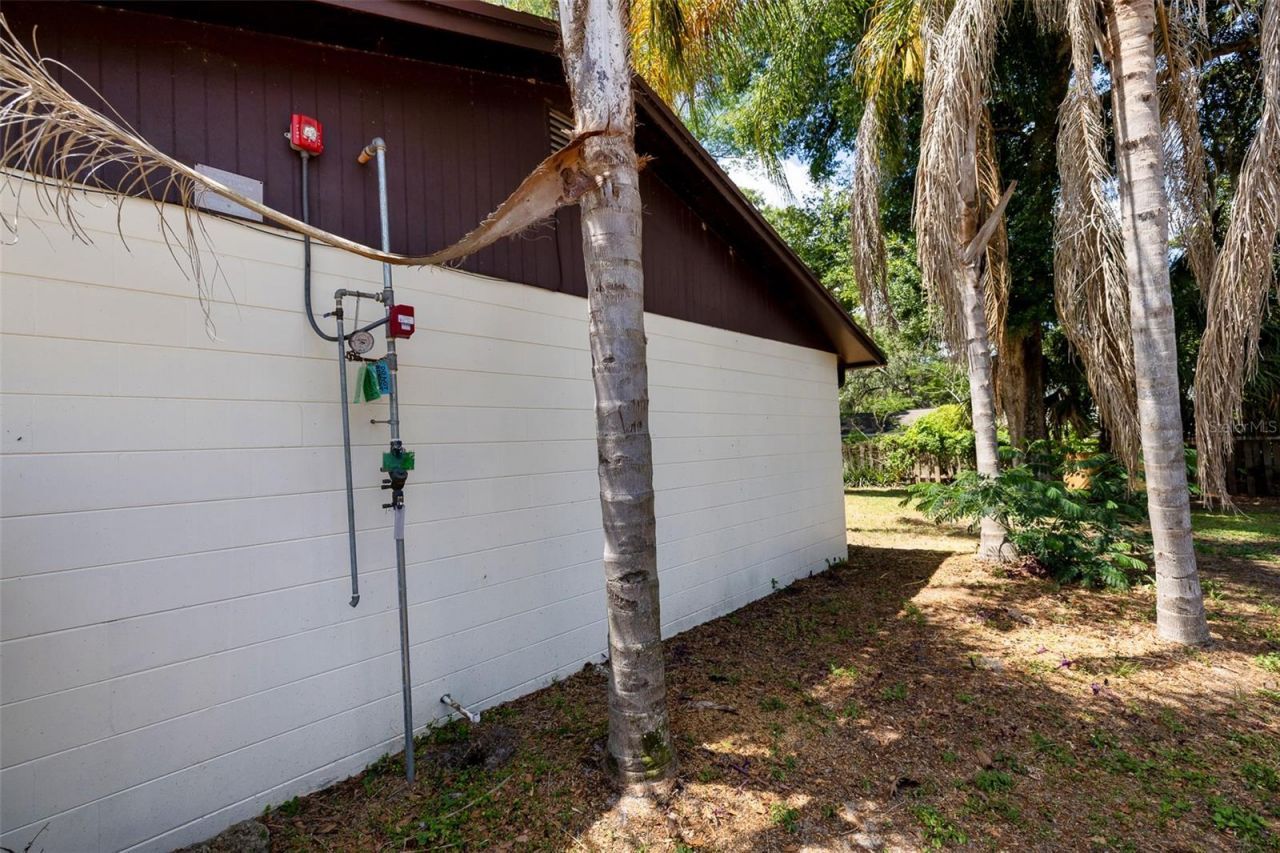 7128 Wrenwood Circle, Tampa, FL 33617 Photo