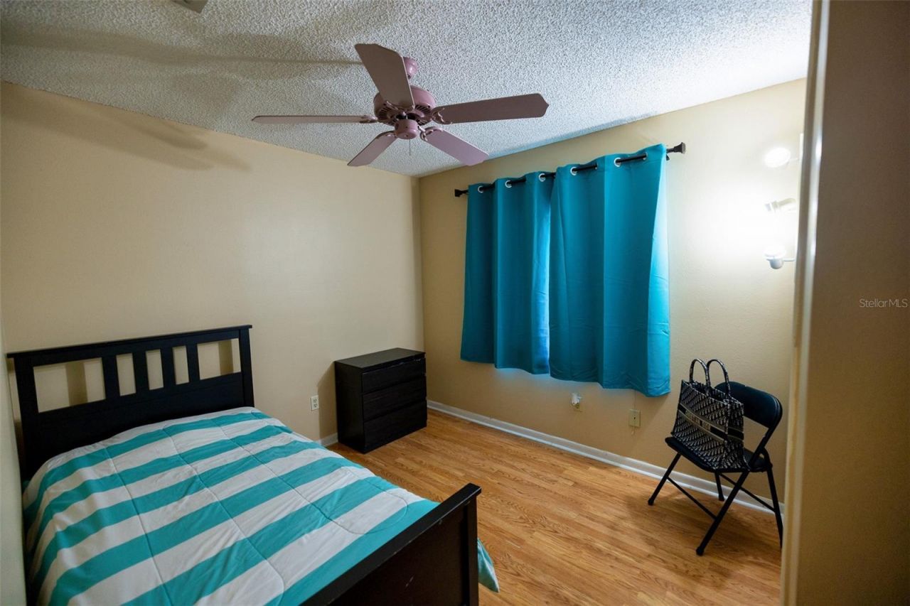 7128 Wrenwood Circle, Tampa, FL 33617 Photo