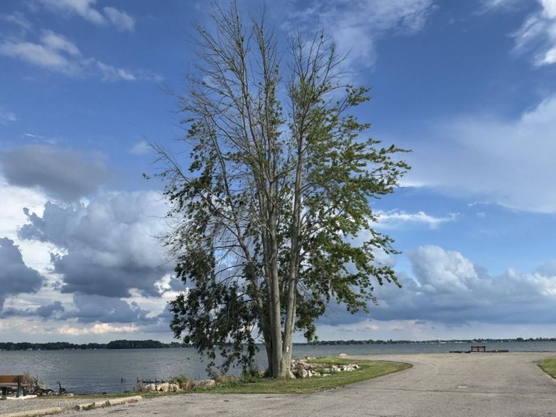 11180 Cherokee Path, Lakeview, OH 43331 Photo 14