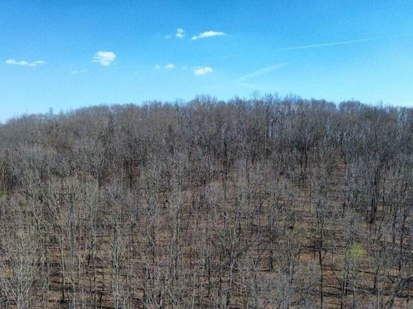 8754 Candies Creek Ridge Road, Charleston, TN 37310