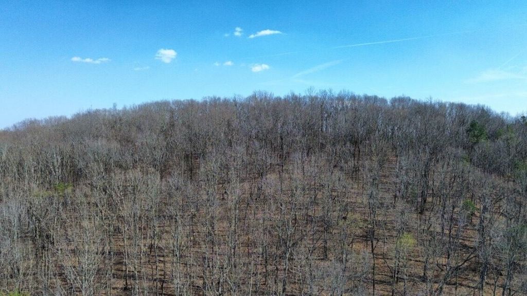 8754 Candies Creek Ridge Road Nw, Charleston, TN 37310 Main Photo