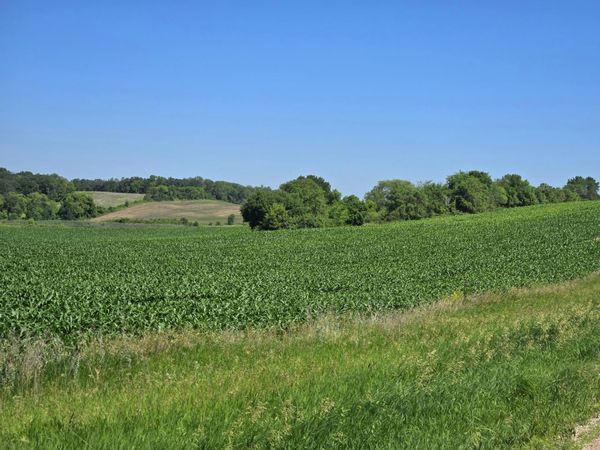 TBD County Hwy 83, Battle Lake, MN 56515