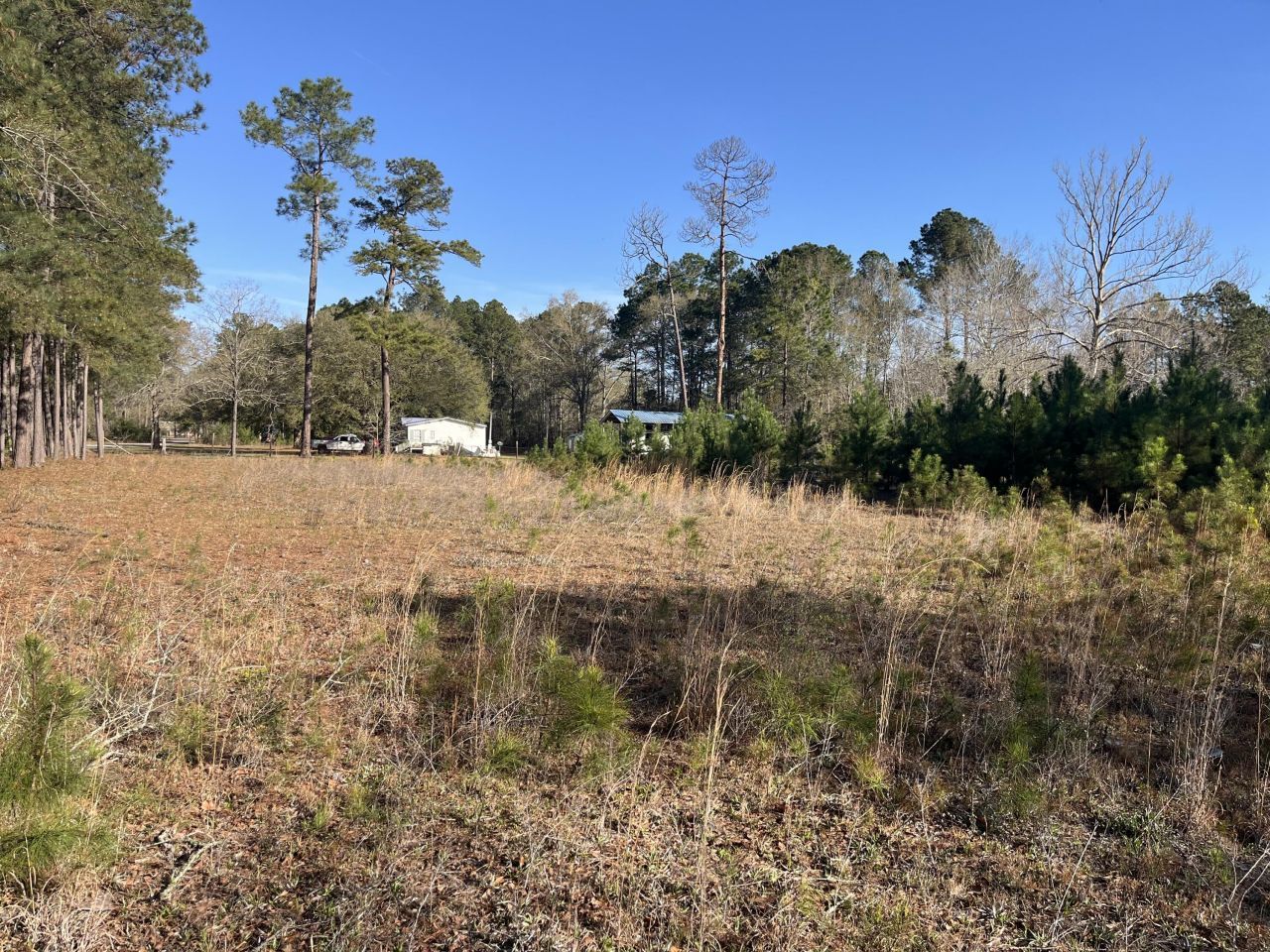 379 Chestnut Road Photo 25