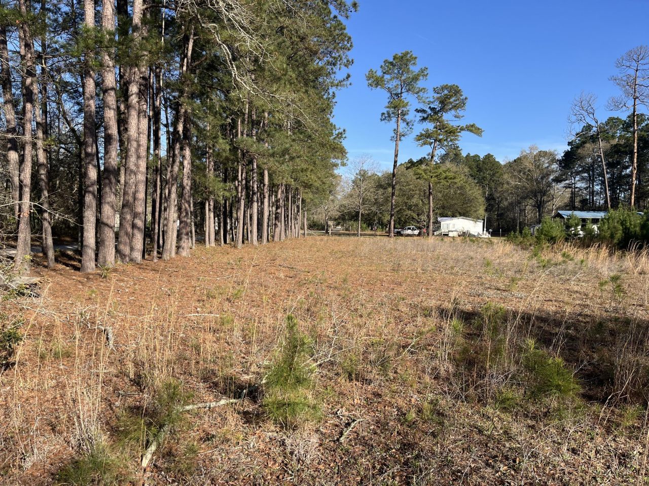 379 Chestnut Road Photo 26