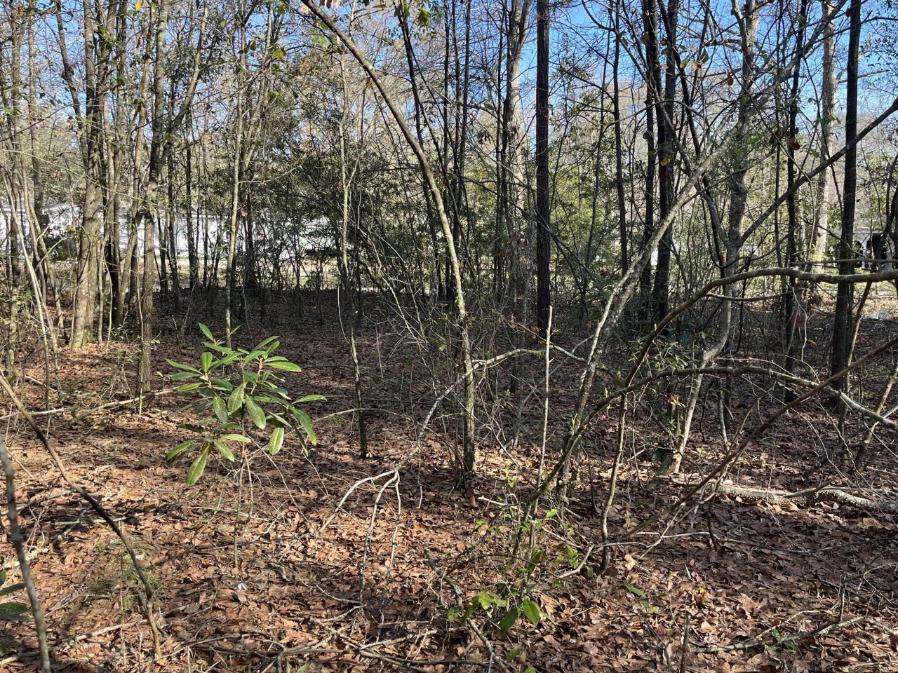 379 Chestnut Road Photo 32