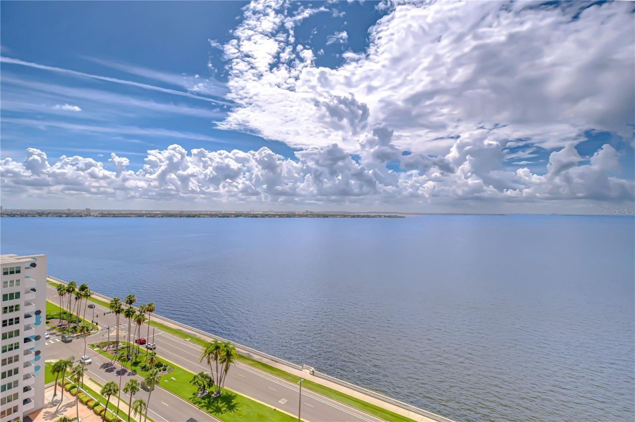 2413 Bayshore Boulevard, Unit 1903, Tampa, FL 33629 Photo
