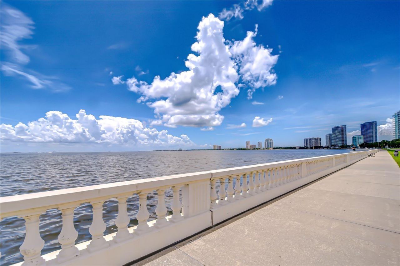 2413 Bayshore Boulevard, Unit 1903, Tampa, FL 33629 Photo