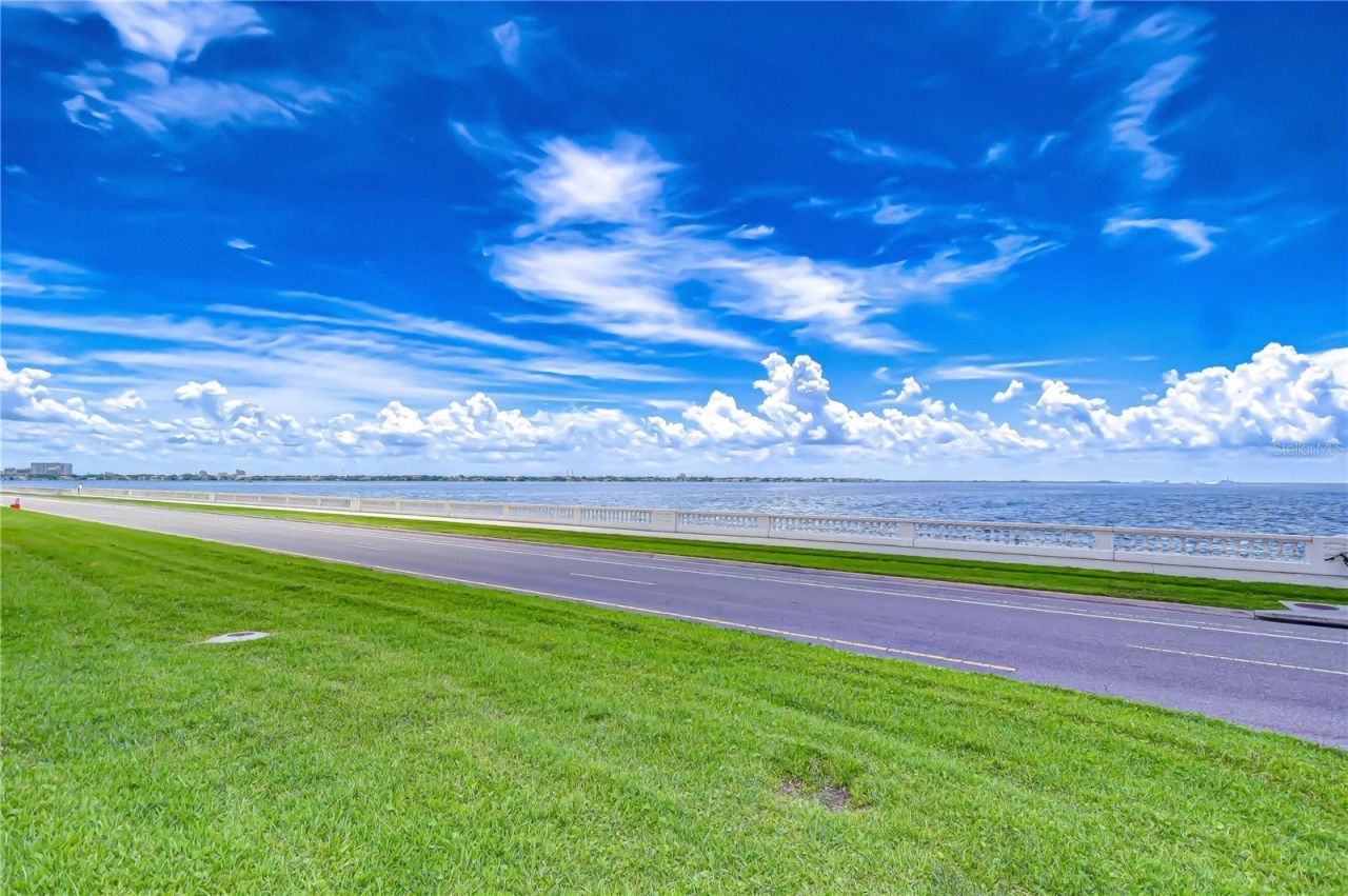 2413 Bayshore Boulevard, Unit 1903, Tampa, FL 33629 Photo