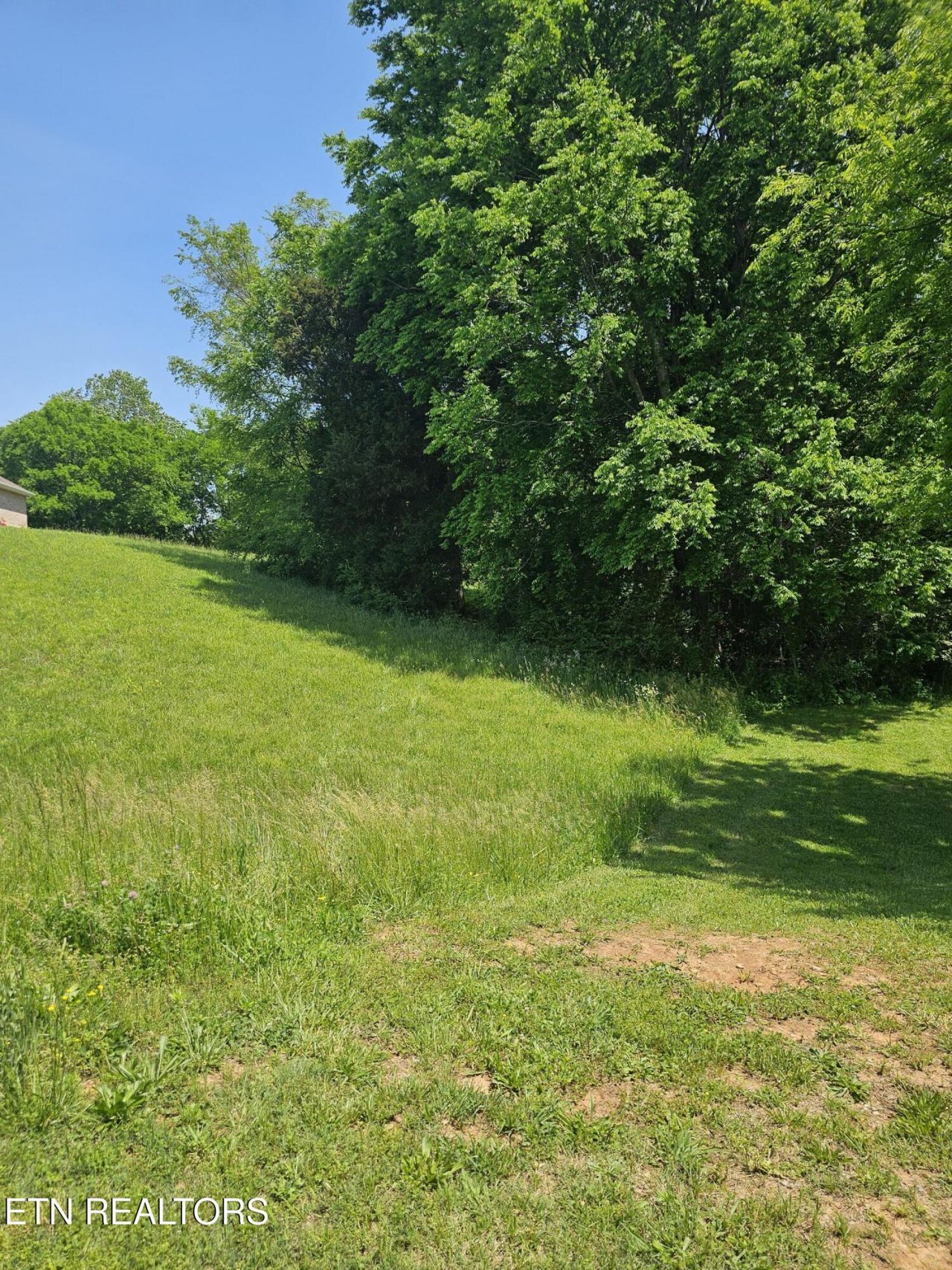 Indian Shadows Drive, Maryville, TN 37801 Main Photo