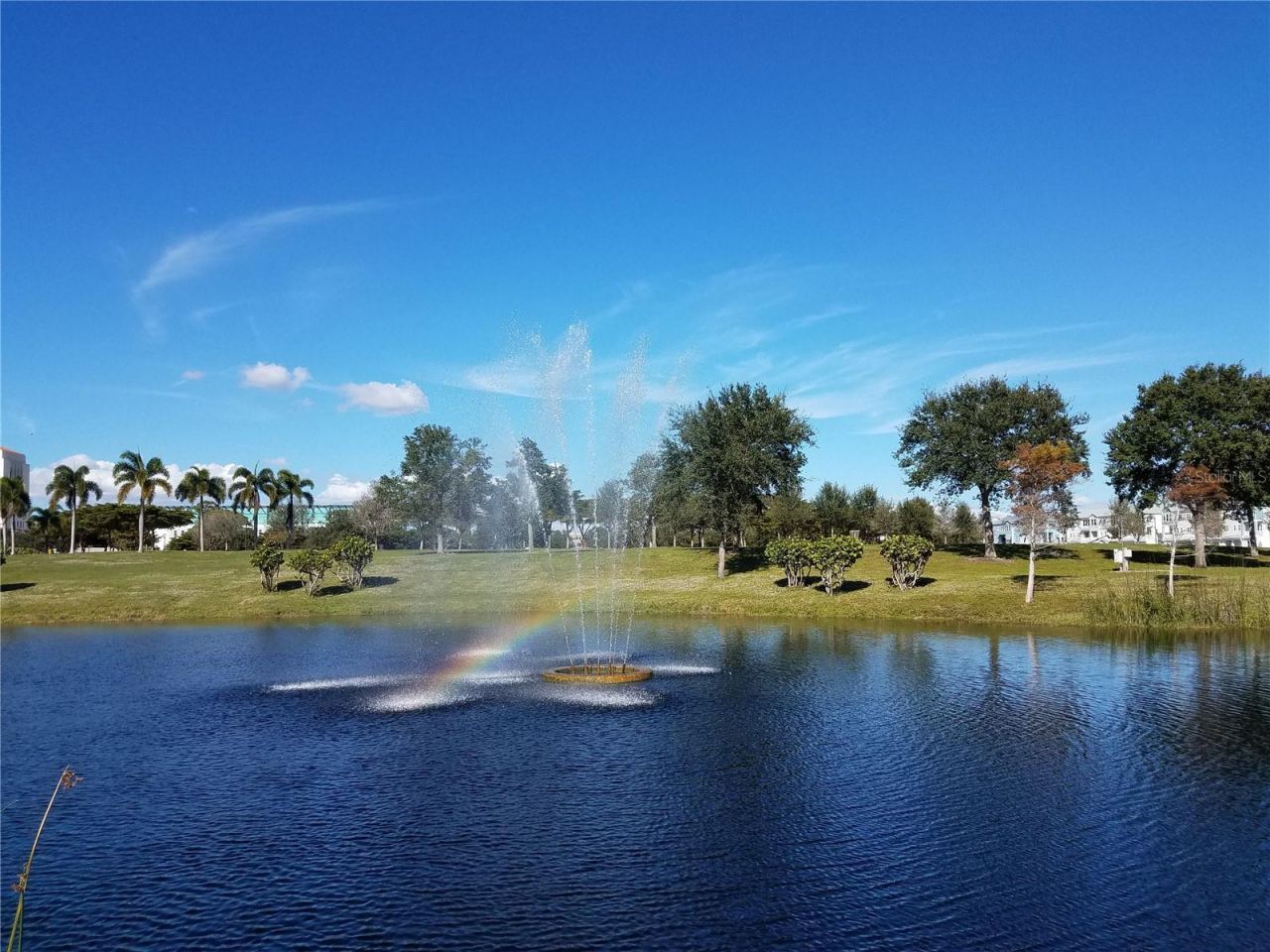 2155 Wood Street, Unit A26, Sarasota, FL 34237 Photo