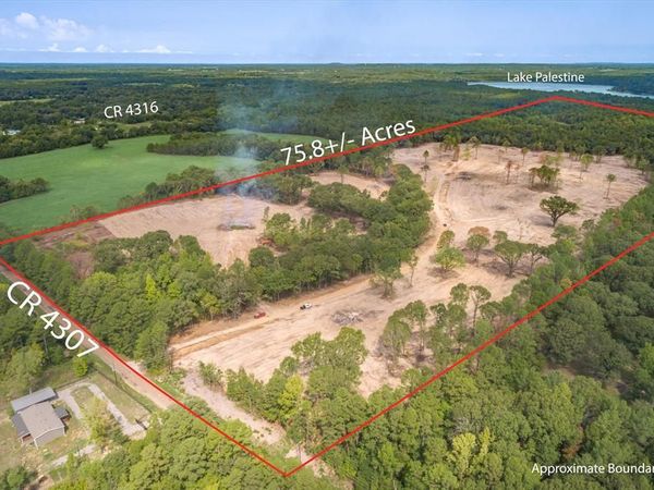 19451 County Road 4307 Road, Larue, TX 75770