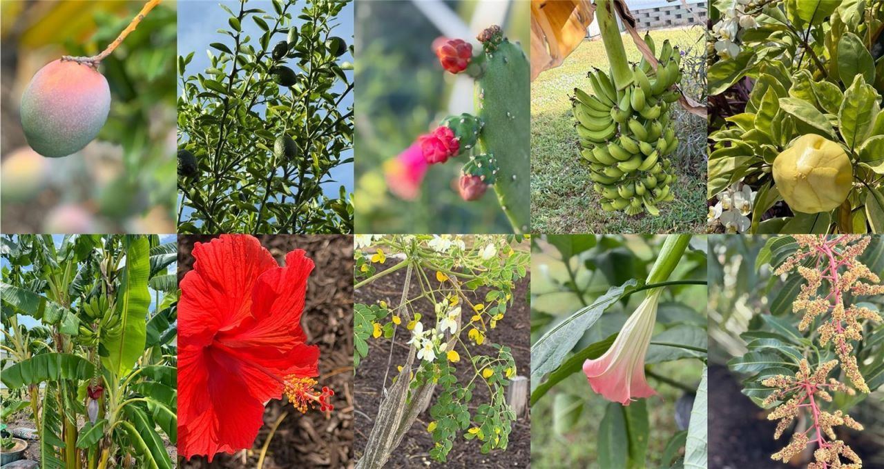 5402 Chateau Lane, Bradenton, FL 34207 Photo