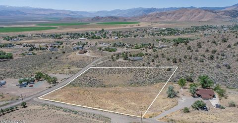 3955 Mica Court, Topaz Ranch Estates, NV 89444 Photo