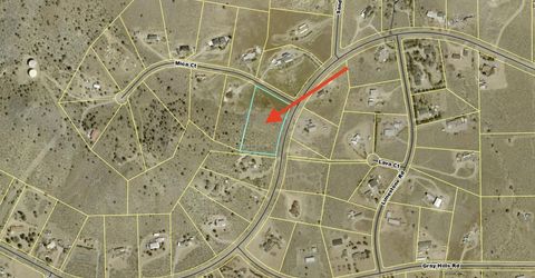 3955 Mica Court, Topaz Ranch Estates, NV 89444 Photo