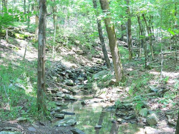 000 Hale Mountain Road, Canehill, AR 72717