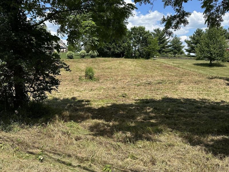 13800 Stablegate Drive, Walton, KY 41094 Photo 6